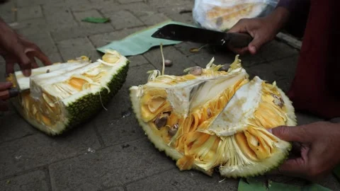 Peeling ripe jackfruit Video stock 288674017