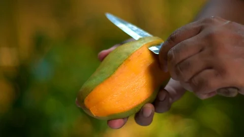 Peeling a Ripe KC Mango Video stock 122957885