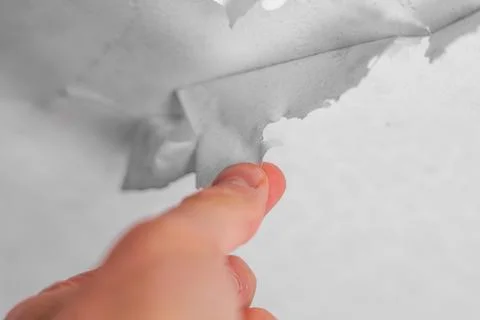 Peeling rotting old ceiling by hand. Cracked damp moldy ceiling peel Stock Photos