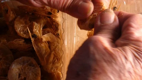 Peeling shrimp Stock Footage 101908089