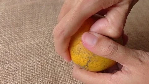 Peeling the small orange fruit on the table Stock Footage 150523043