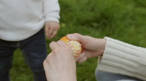 Peeling tangerine Stock Footage 63012191