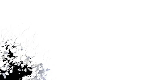 Peeling transition with alpha. Stock Footage 130611765