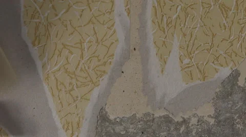 Peeling wallpaper on drywall Stock Footage 60819652