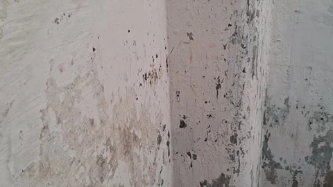 Peeling white wall paint texture in motion slow panning Stock Footage 345362144