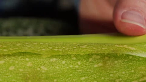 Peeling zucchini with grater close-up. Preparing some vegetables for cooking Video stock 261064402