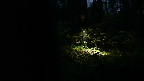 Peeping from behind a tree behind a man with a flashlight walking Stock Footage 220772750