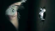 Peeping Eye Through Hole, Horror Scene Hd Stock Footage
