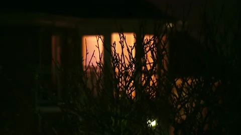 Peering to illuminated window through trees at night, spying, being nosey, dark Stock Footage 229478820