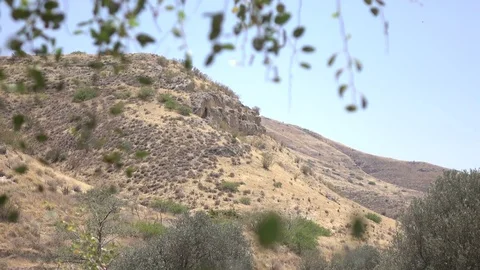 Peering Through Branches to Mountain Beyond Stock Footage 78548745