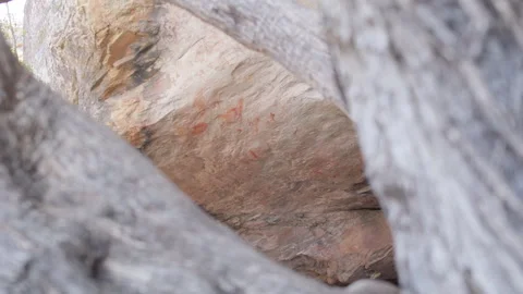 Peering through tree branches to ancient cave paintings. UHD50p Stock Footage 249817090