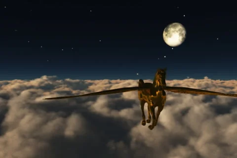 Pegasus 10 2997 Video stock 6018124