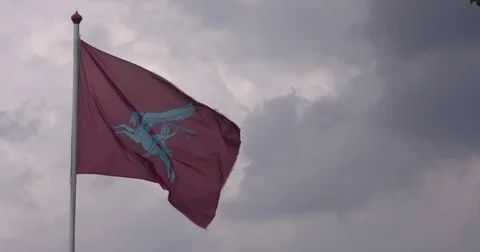 Pegasus airborne flag in cloudy sky Vídeo Stock 72918654