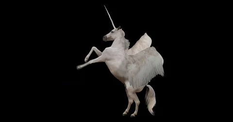 Pegasus and winged Unicorn flying on a transparent background. Stock Footage