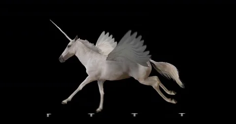 Pegasus and winged Unicorn running on a transparent background. Stock-Footage 70280128