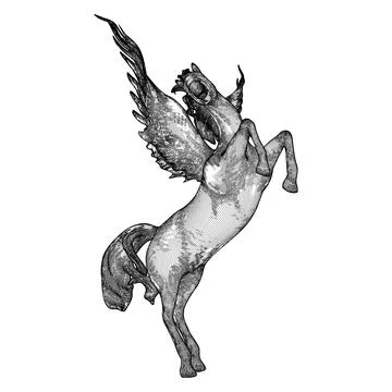 Pegasus Fly Horse Vector. 스톡 일러스트