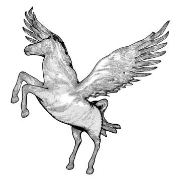 Pegasus Fly Horse Vector. 스톡 일러스트