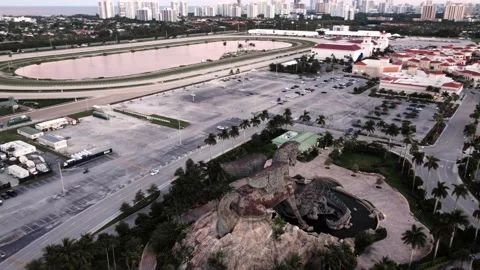 Pegasus at Gulfstream 2 of 3 Stock Footage 162344733