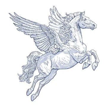 Pegasus Stock Illustration
