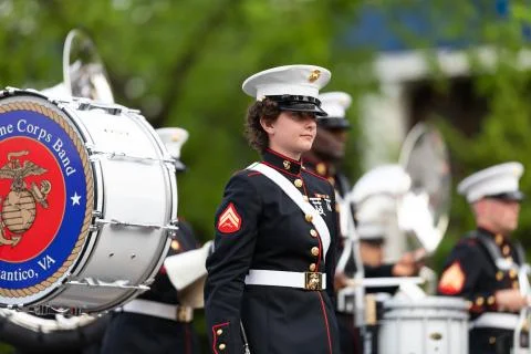 The Pegasus Parade 2019 Stock Photos