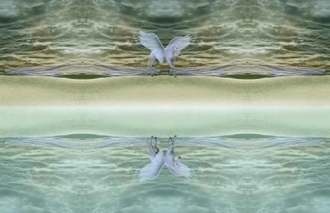 Pegasus on the sand dunes Stock Photos