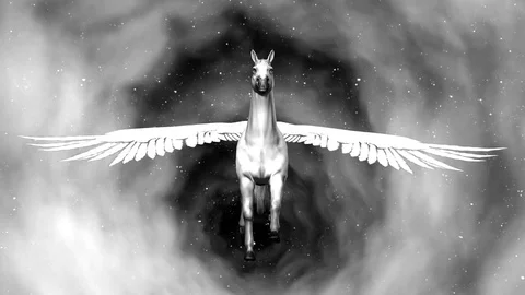 Pegasus in space. 4K. Stock Footage 76462822