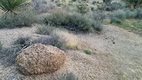 Pegmatite Deposit Stock Footage 165915550