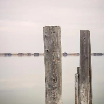 Pegs on the lake Foto stock