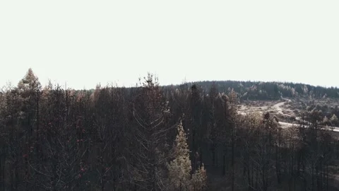 Pehcevo 2 Stock Footage 159602636