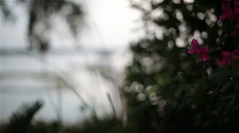 Peir &amp; Boat Dock Slider 스톡 동영상 11249185