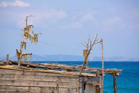 Peix sec is wind dried fish typical from Balearic Islands Stock Photos