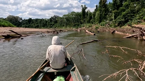 Peke-Peke Motorboat Navigating a Log-Filled Jungle River in Bolivian Amazon Vidéo 341877910