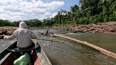 Peke-Peke Motorboat Navigating a Log-Filled Jungle River in Bolivian Amazon Vidéo 341878000