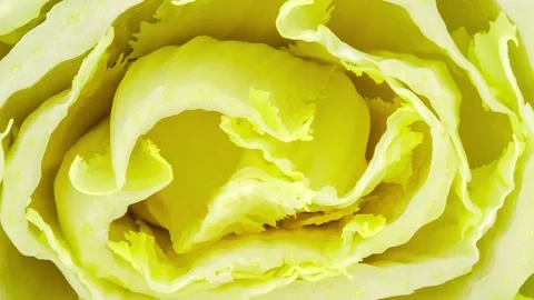 Peking cabbage, cut, inner part close-up, full depth of field, rotating 스톡 동영상 240655527