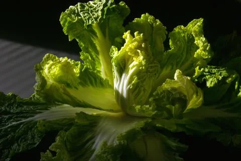 Peking cabbage on a dark background. Diet proper nutrition. Vegetables and fr Stock Photos