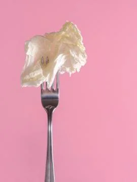 Peking cabbage leaf, lettuce leaf on a silver metal fork on a pink background Stock Photos