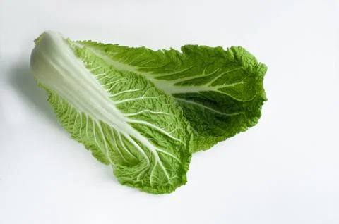 Peking cabbage  Stock Photos