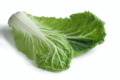 Peking cabbage  Stock Photos