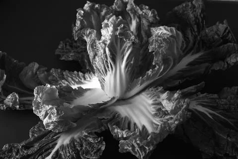 Peking cabbage in a wooden box on a rustic background. Diet proper nutrition. Stock Photos