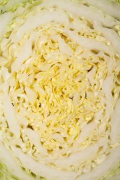 Peking cabbage.Background of Peking cabbage. Stock Photos