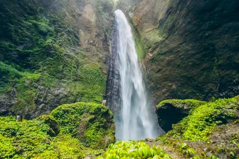 Pelangi Waterfall; East Java, Indonesia 스톡 사진
