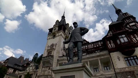 Peles 動画素材 82632141