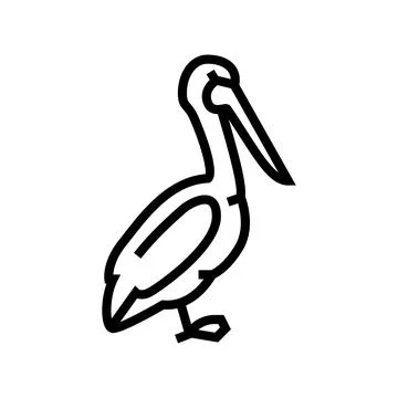Pelican bird line icon vector illustration Stockillustratie