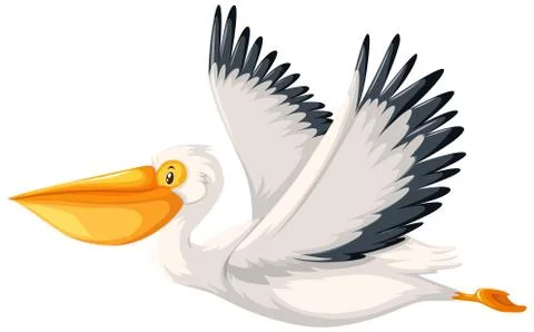 A pelican character on white background Stock Illustration