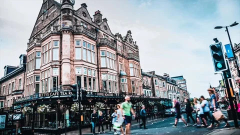 Pelican Crossing Timelapse Vídeo Stock 102781427