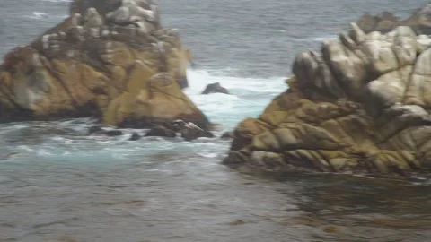 Pelican in flight Stock Footage 281876333