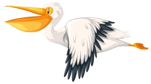 A pelican flying on white background Stock Illustration