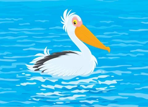 Pelican Stock Illustration
