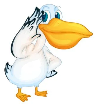 Pelican Stock Illustration