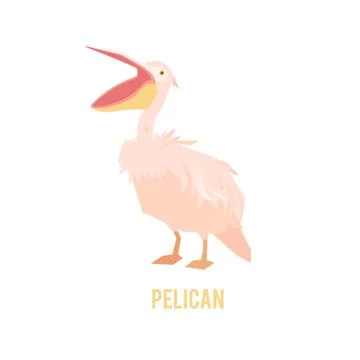 Pelican with large beak. Bird in a flat style. Stock Illustration